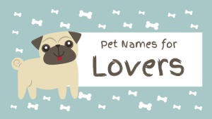 Pet Names for Lovers